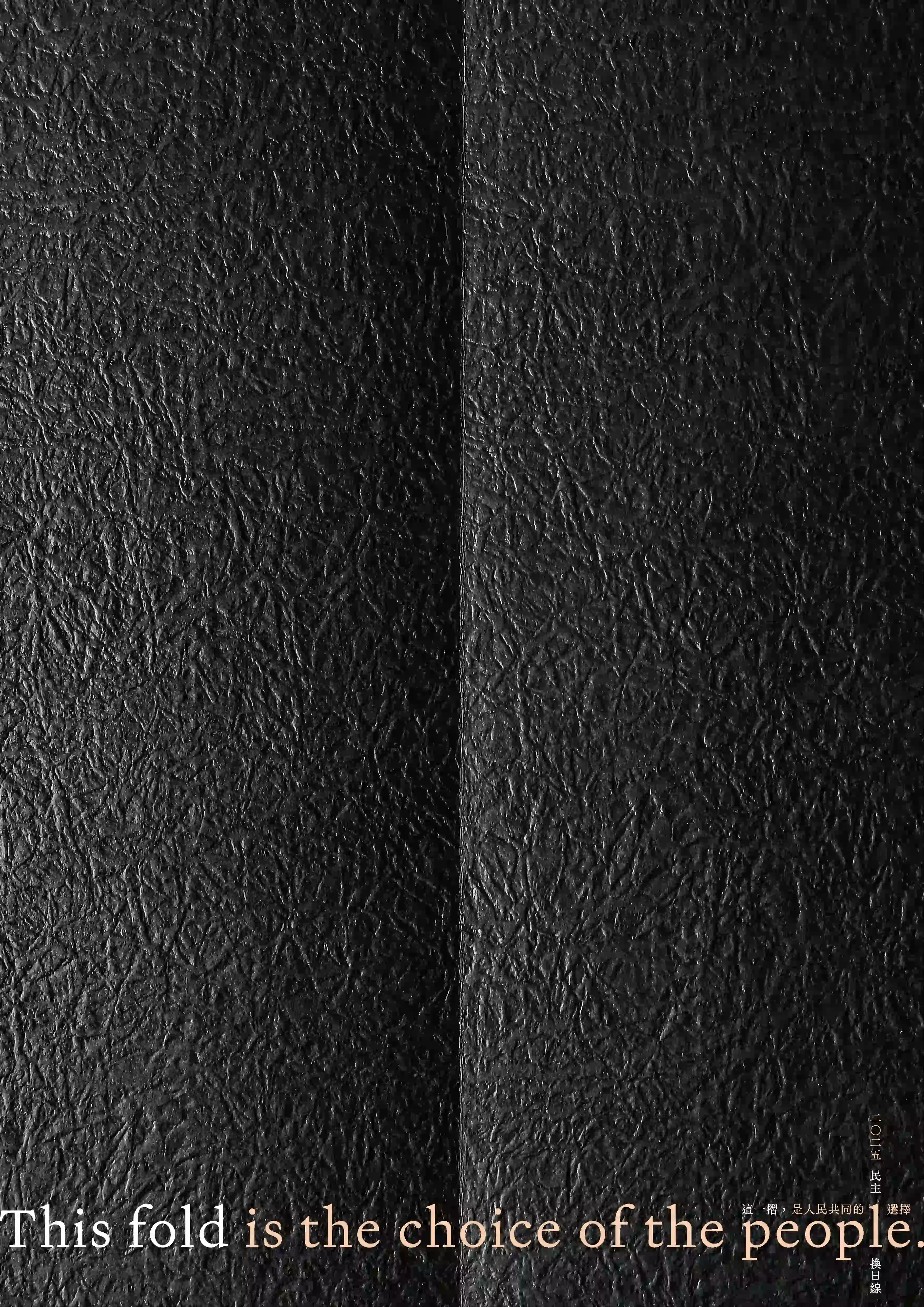 一張深色皺紋紙佔據整個畫面，紙面質地粗糙、布滿不規則裂紋與摺痕，中央有一道垂直摺線自上而下貫穿，將畫面明顯分為左右兩半。底部左側以米白與淡橘色排版書寫英文句子：“This fold is the choice of the people.” 右下角有小字中文標語：「這一道摺，是人民共同的選擇。」整體視覺沈重，象徵黑暗統治與人民意志的對比。